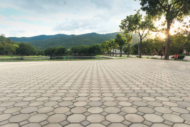 Best Decorative Driveway Pavers  in Park Rapids, MN