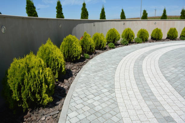 Best Commercial Driveway Pavers  in Park Rapids, MN