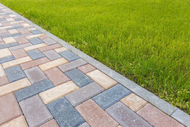 Best Driveway Repair Near Me  in Park Rapids, MN